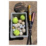 Balls, bats, glove