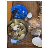 Seashells + in tin