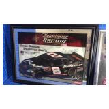 NASCAR painted mirrors