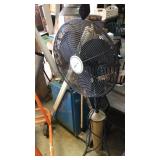 Fan Fan