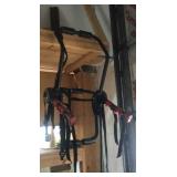 Bike rack & rims Bike rack & rims