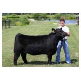 Wyatt Voelker