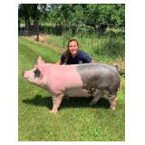 Kinley Kolbet