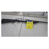 Eagle Pump B.B. Pellet Gun