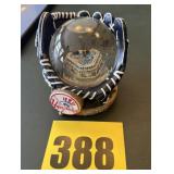 New York Yankees glitter globe