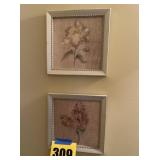 2 flower pictures