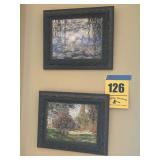 Pair of framed pictures