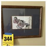 Duck picture