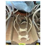 Deer Antlers