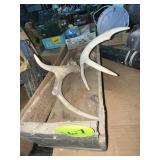 Horns & Wooden Box