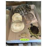 Turtle Shells & Misc.