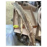 Snake Skins