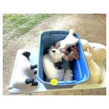 Tote w/Stuffed Animals