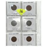 (6) Indian Head Cents