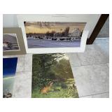 Assorted Unframed Prints