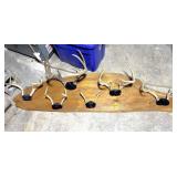 (6) Horns on Wooden Plaque