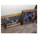 (2) Wildlife Pictures