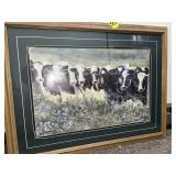 Cow Print Holstein