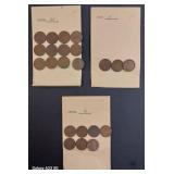 Lot of (22) Old Wheat Pennies (1916, 1916D & 1