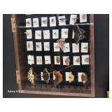 A collection of dried insects and butterflies