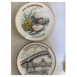 (2) Interesting Decorative Collectorï¿½s Plates