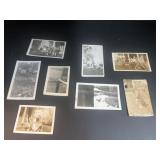 (8) Vintage Photographs of Animals