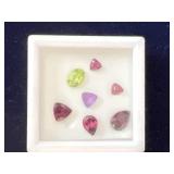 A Variety of 7 Gems, Protective Case