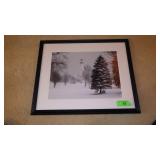 SIGNED PHOTO / PRINT 7/350 FRAMED 19 x 16