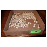 ASST COWRY SHELLS & ASST JEWELRY FOR CRAFTING