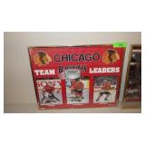 1993 CHICAGO BLACKHAWKS FRAMED POSTER 16 x 20