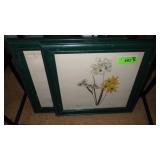 2 FRAMED FLORAL PRINTS 14 1/2 x 14 1/2