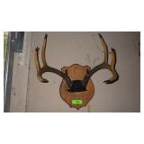 VINTAGE 8 POINT BUCK ANTLER MOUNT