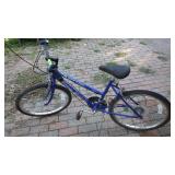 FREE SPIRIT 10 SPEED GIRLS / WOMANS BIKE