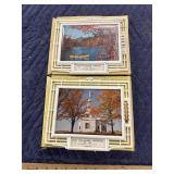 Advertising thermometers