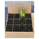 Vintage green glasses