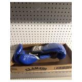 Everlast gloves