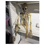 Skeleton