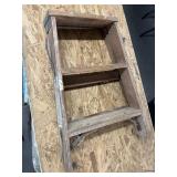Werner step ladder
