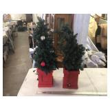 TREES IN PLANTERS