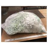 LARGE BAG OF PEANUTS