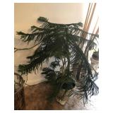 LIVE TREE