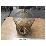 BIRD CAGE