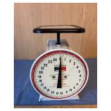 Hanson Model 2000 Utility Scale