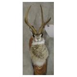 JACKALOPE WALL MOUNT, 4 POINT
