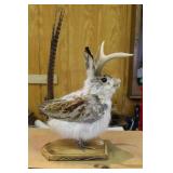 FLYING JACKALOPE MOUNT, 4 POINT, 24" TALL OVERALL