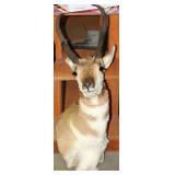 PRONGHORN MOUNT, 4 POINT, 9 1/2"