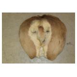 DEAR REAR MOUNT, 18"