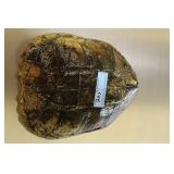 TURTLE SHELL, 12" x 11"