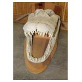 MOUNTED ALLIGATOR SKULL, 24" x 12" x 12"