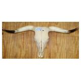 LONG HORN BULL SKULL, 45" SPREAD